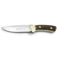 Puma Rotwildmesser 10-1/4 " Fixed Hunting Knife Stainless Steel - Staghorn Scales #11 3598